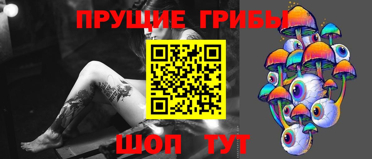 Саранск  Псилоцибиновые грибы мицелий  Вход с VPN  Галлюциногенные грибы MAGIC MUSHROOMS 